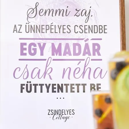 Zsindelyes * Erpatak