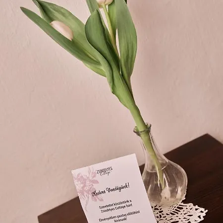 Zsindelyes Farm stay *